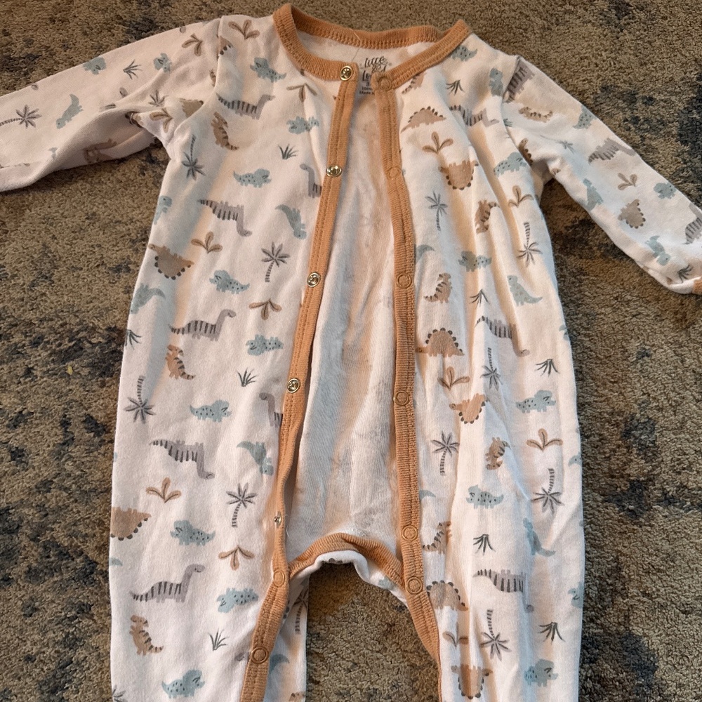 Dinosaur Sleeper